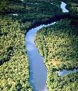 Sdamerika Reisen - Mehrtageserlebnis Luxuscruise auf dem Amazonas in Brasilien